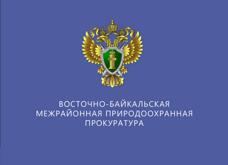 Об охране лесов от пожаров, ответственности за нарушение правил пожарной безопасности в лесах.