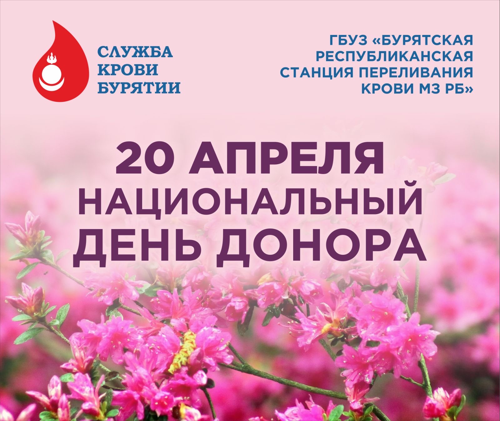 С 14 по 20 апреля 2025 года в России проходит Неделя популяризации донорства крови и костного мозга..