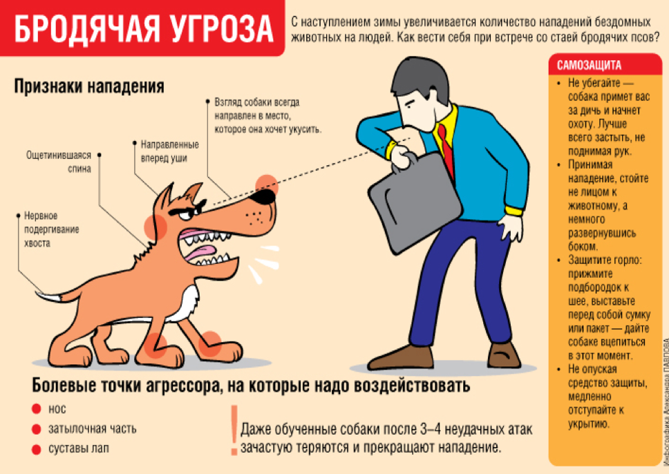 Памятки по собакам.