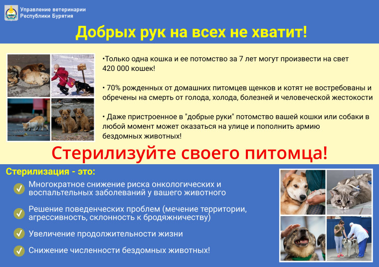 Правила выгула и регистрации домашних животных. Правила выгула и регистрации домашних животных.